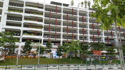Blk 811A Choa Chu Kang Avenue 7 (Choa Chu Kang), HDB 5 Rooms #215656941